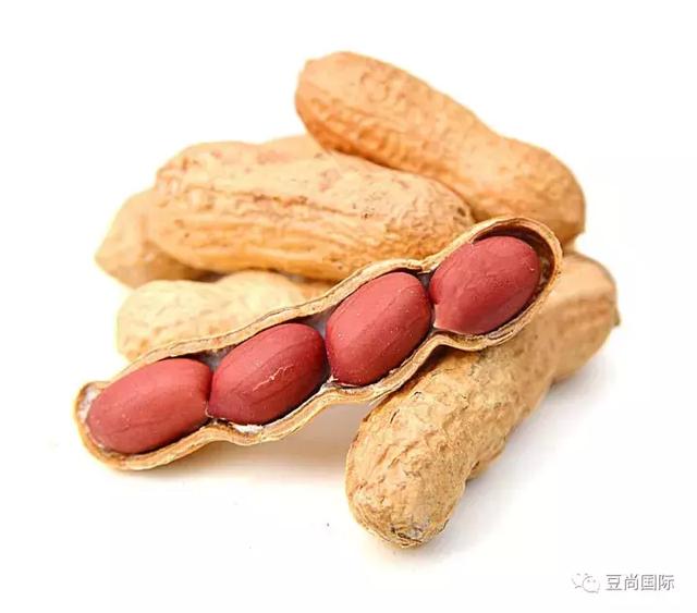 愛長痘痘是因?yàn)槿鄙倬S生素？