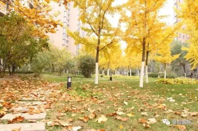 為什么秋季容易長痘痘？