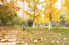 豆尚小知識，為什么秋季容易長痘痘？