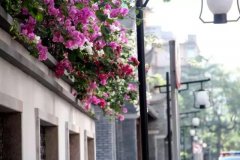 痘友們，來豆尚結(jié)束戰(zhàn)“痘”