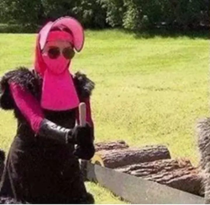 又是一年的過敏高發(fā)季，你將如何應(yīng)對？